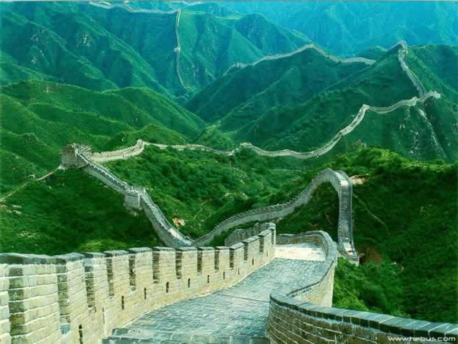 dosage for msm