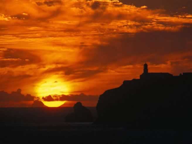 purchase viagra online